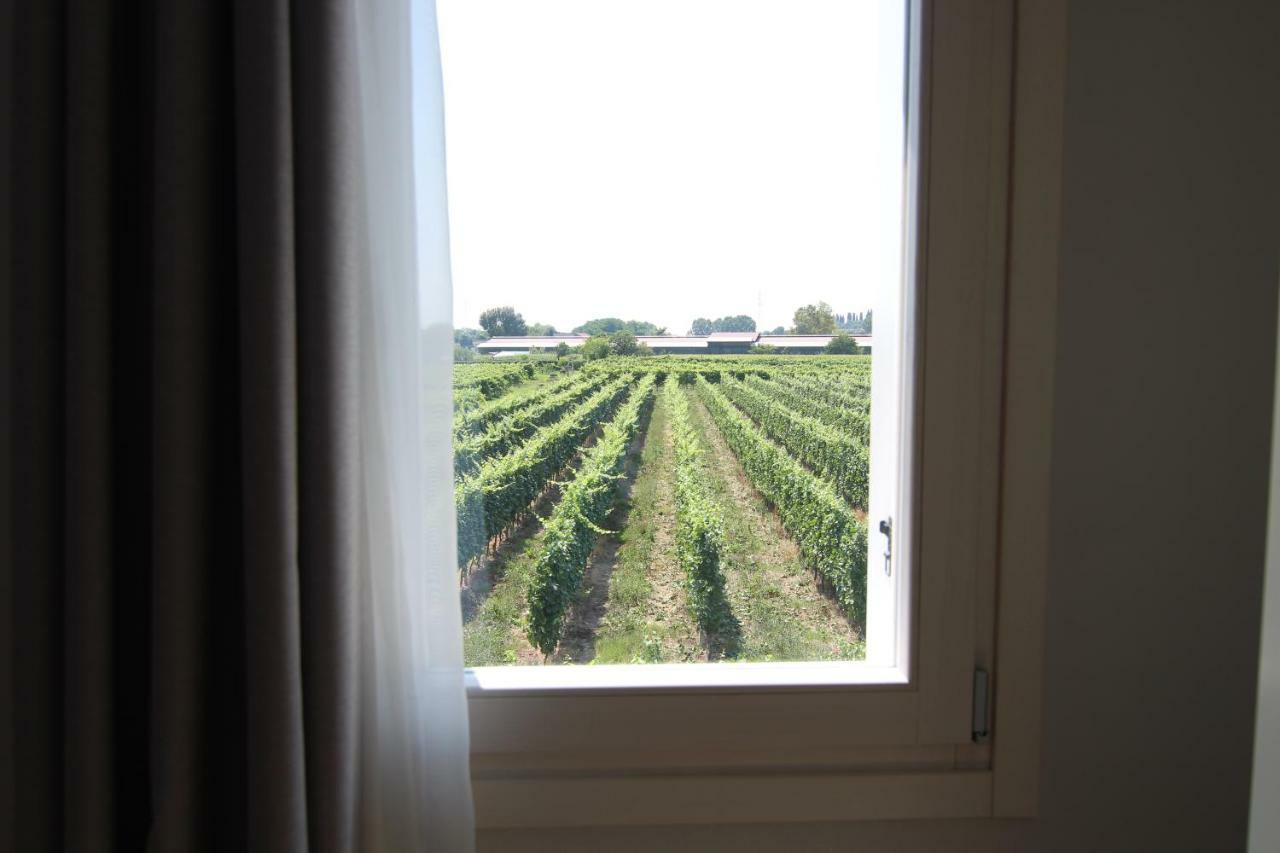 Spagnoi Rooms Castelnuovo del Garda Bagian luar foto